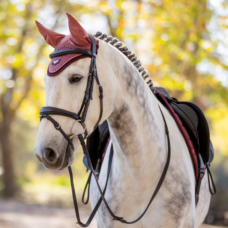 LeMieux Loire Fly Hood - Orchid-2