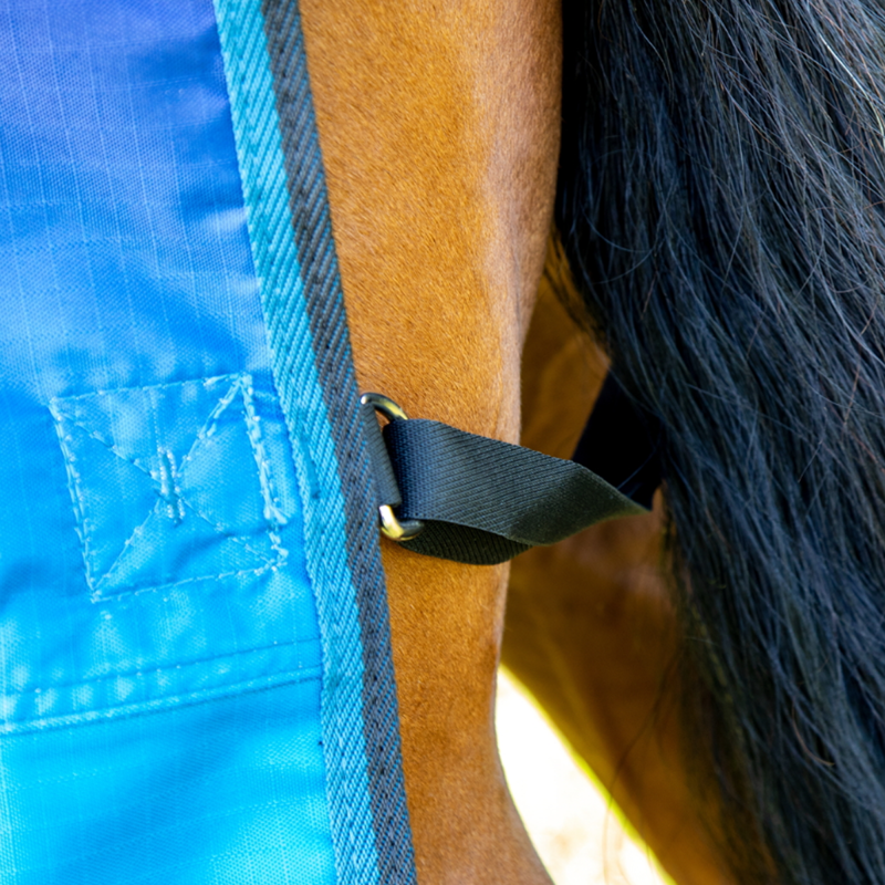 Shires Tempest Original Lite Turnout Combo Rug - Blue Skeleton-4