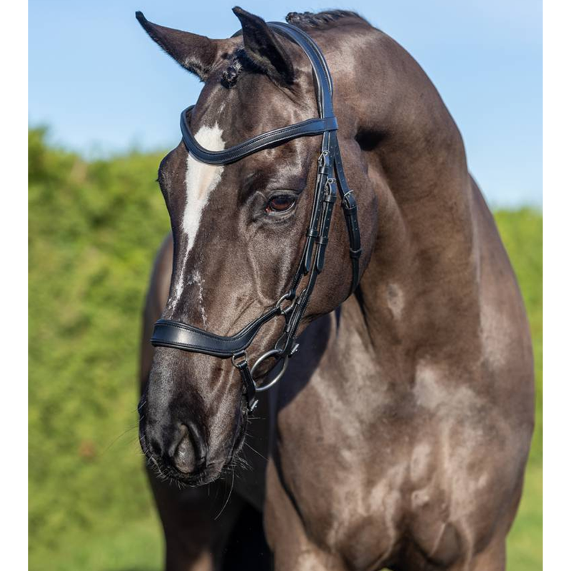 LeMieux Arika Drop Bridle - Black/Silver-1