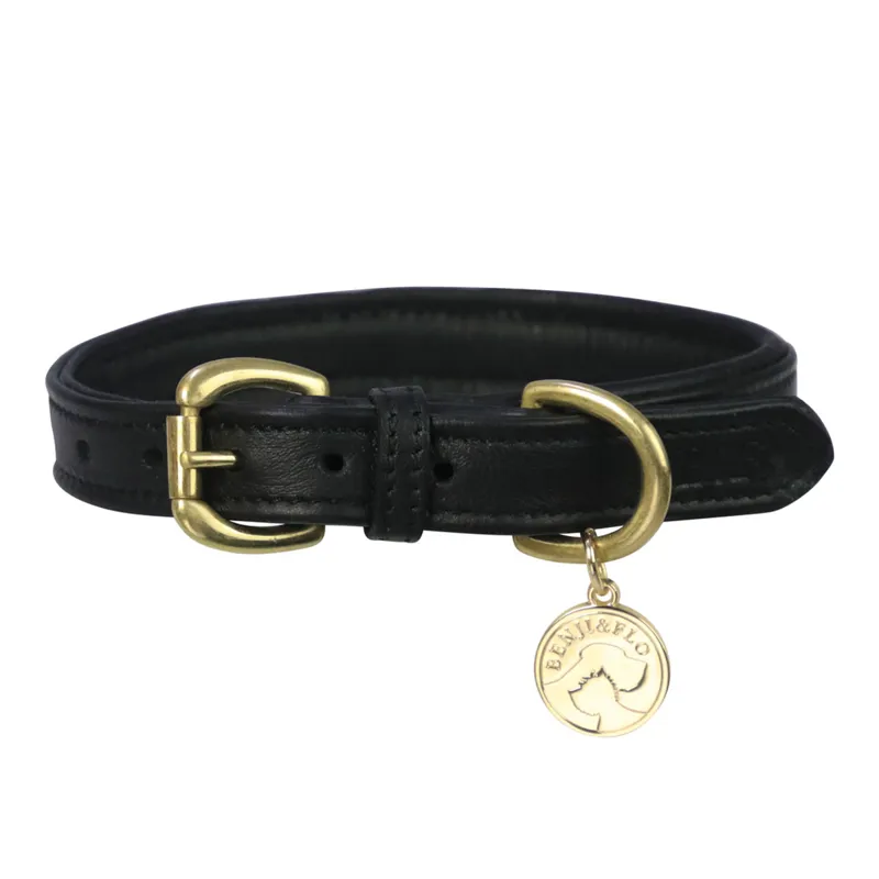 Benji And Flo Deluxe Padded Leather Dog Collar - Black/Brass