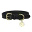 Benji And Flo Deluxe Padded Leather Dog Collar - Black/Brass
