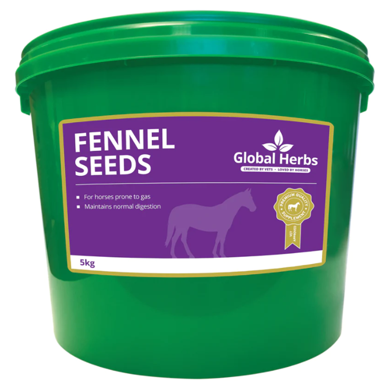 Global Herbs Fennel Seeds-2