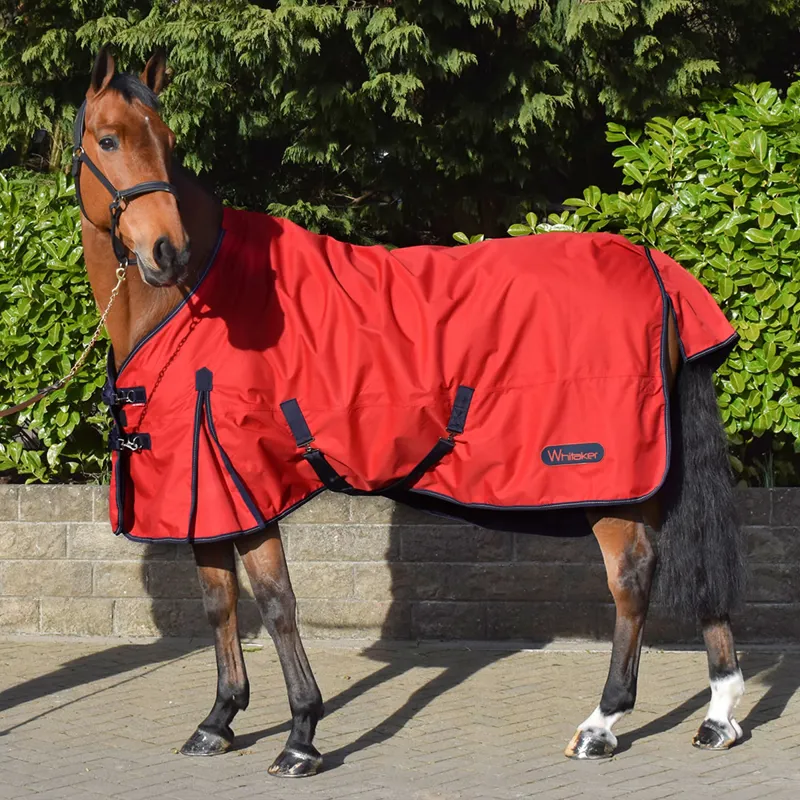 John Whitaker Rastrick Turnout Rug 0g - Red