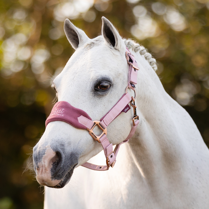 LeMieux Mini Vogue Headcollar - Pink Quartz-1