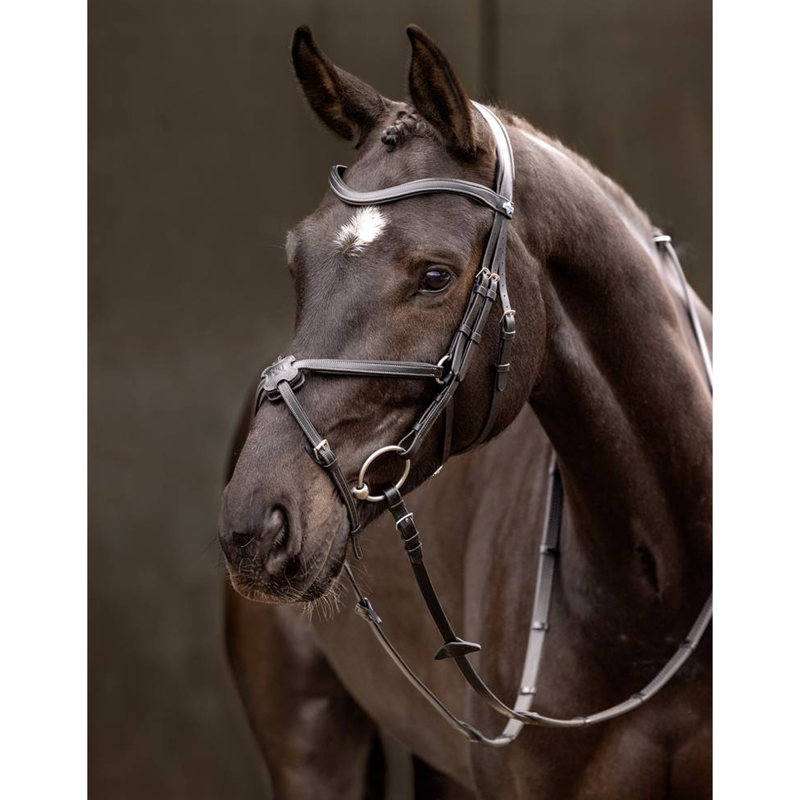 LeMieux Arika Grackle Bridle - Black/Silver-1