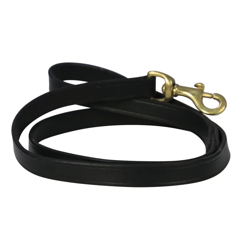 Benji And Flo Deluxe Padded Leather Dog Lead - Black/Brass - 120cm