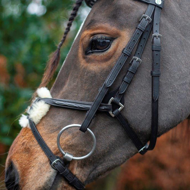 Ecorider Galway Grackle Bridle - Brown-3