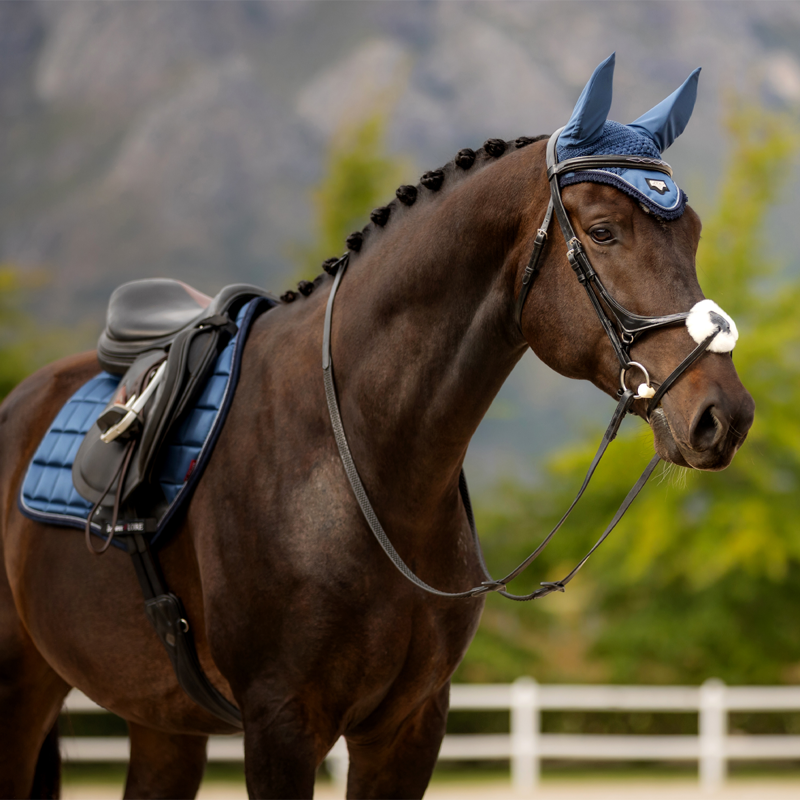 LeMieux Loire Fly Hood - Atlantic-1