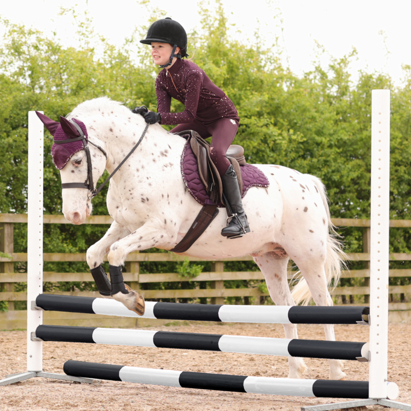 Hy Equestrian Young Rider Enchanted Collection Base Layer - Plum/Rose Gold-9