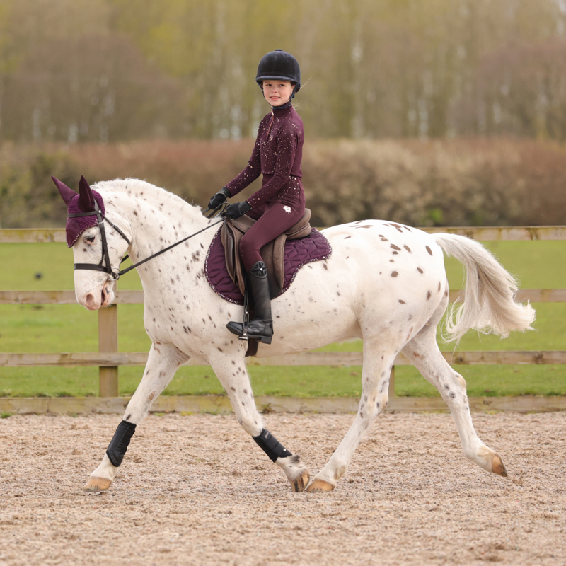 Hy Equestrian Young Rider Enchanted Collection Riding Tights - Plum/Rose Gold-3