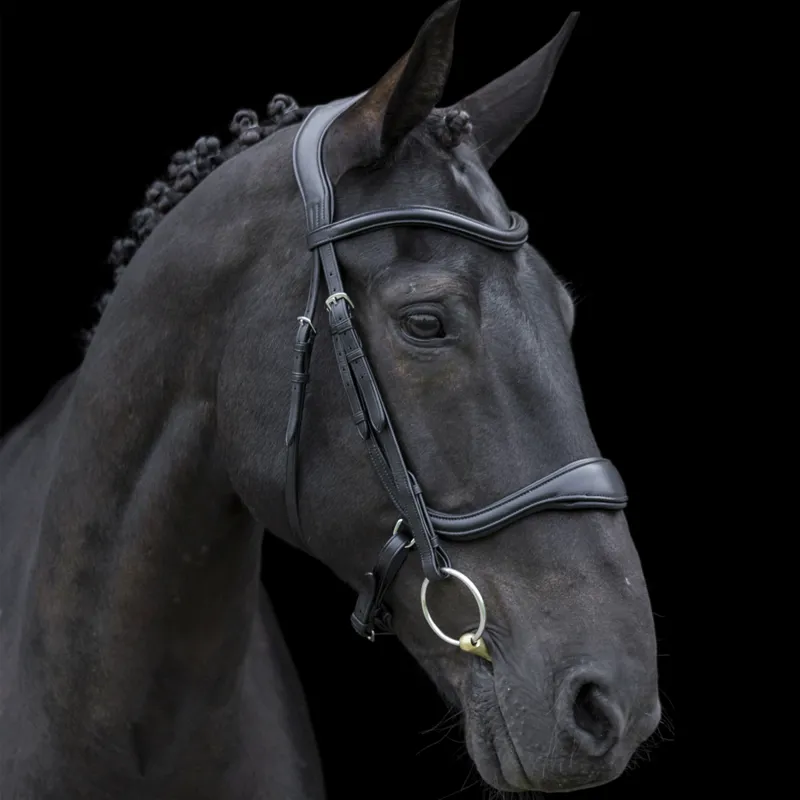 EcoRider Ecosoft Enigma Bridle - Black