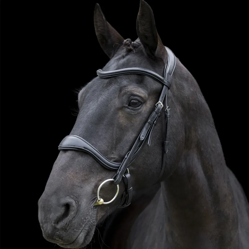 EcoRider Ecosoft Enigma Bridle - Black-1