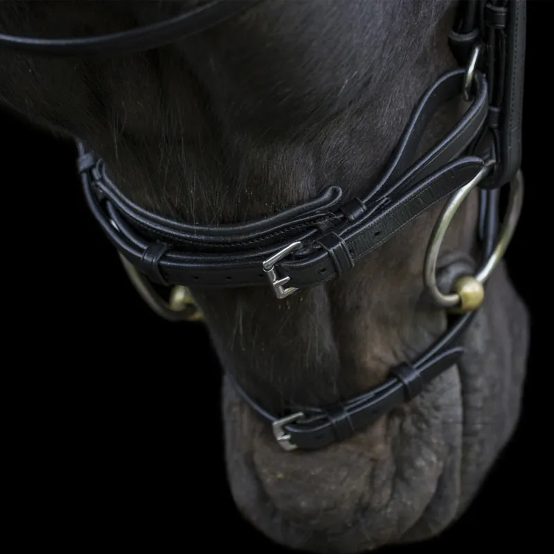 EcoRider Ecosoft Enigma Bridle - Black-3