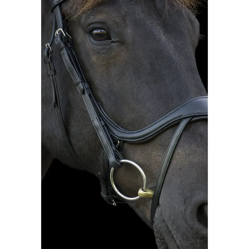 EcoRider Ecosoft Enigma Bridle - Brown-4