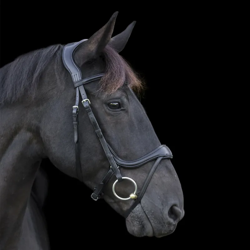 EcoRider Ecosoft Enigma Bridle - Black-5