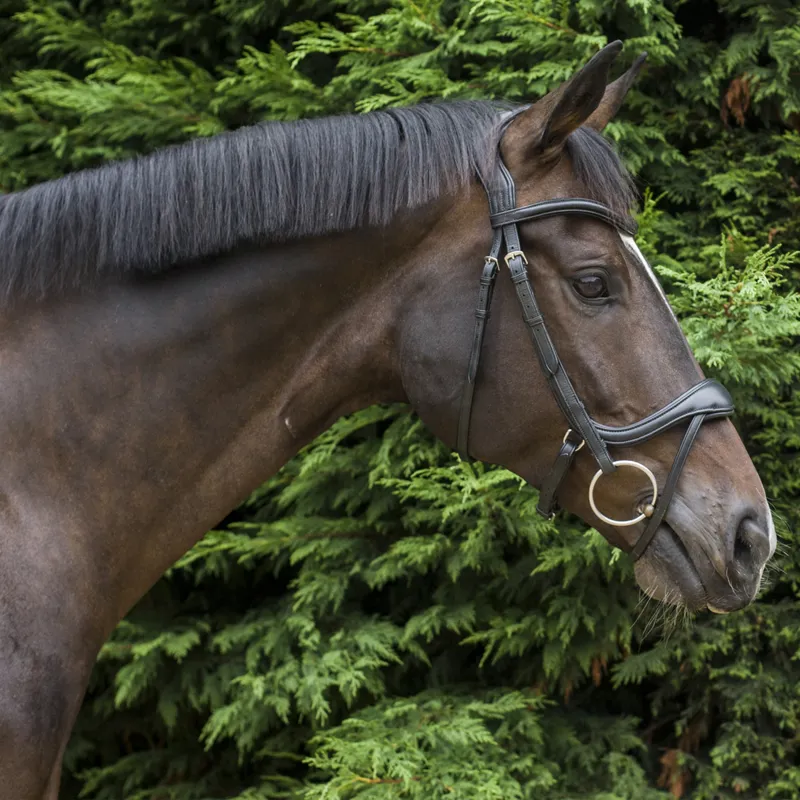 EcoRider Ecosoft Enigma Bridle - Black-6