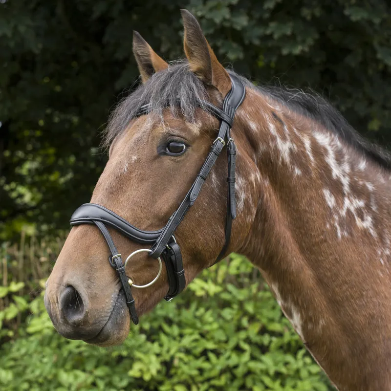 EcoRider Ecosoft Enigma Bridle - Black-7