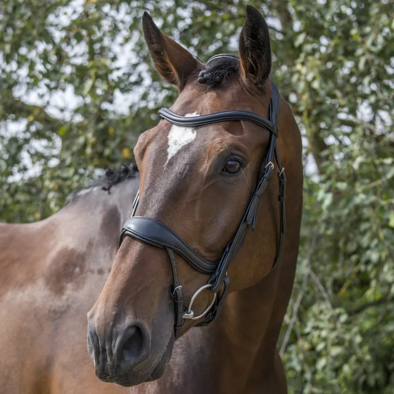 EcoRider Ecosoft Enigma Bridle - Black-8