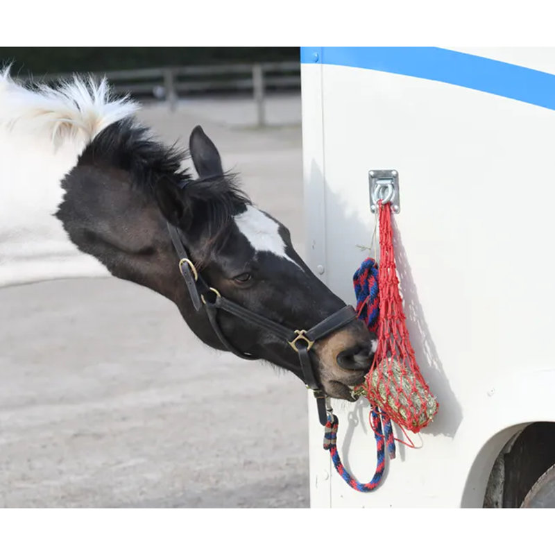 Equilibrium Calmmunch - 1kg-5