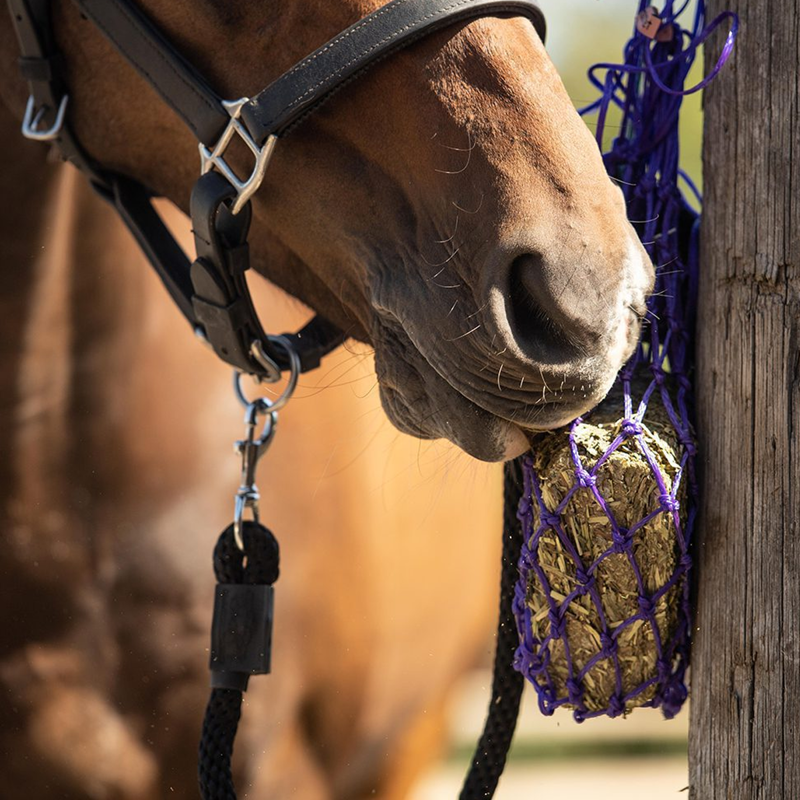 Equilibrium Calmmunch - 1kg-3