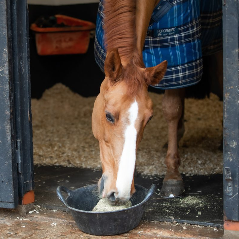 Equilibrium Calmmunch - 1kg-4