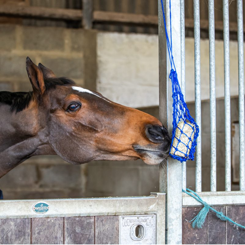 Equilibrium Calmmunch - 1kg-2