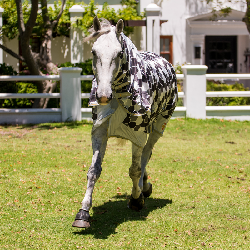 Equilibrium Field Relief Fly Rug - Grey-2