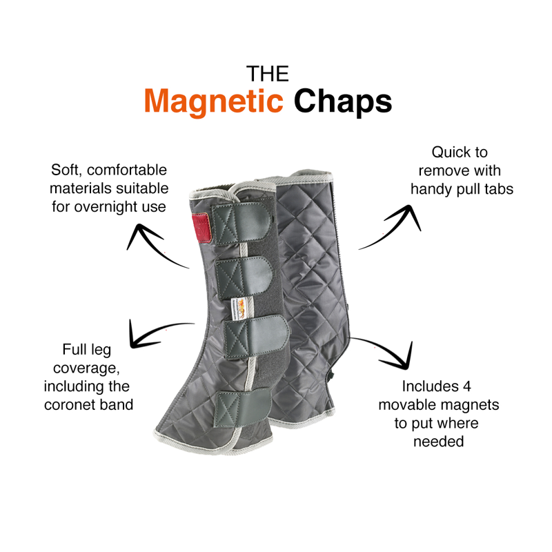 Equilibrium Magnetic Chaps - Grey-5
