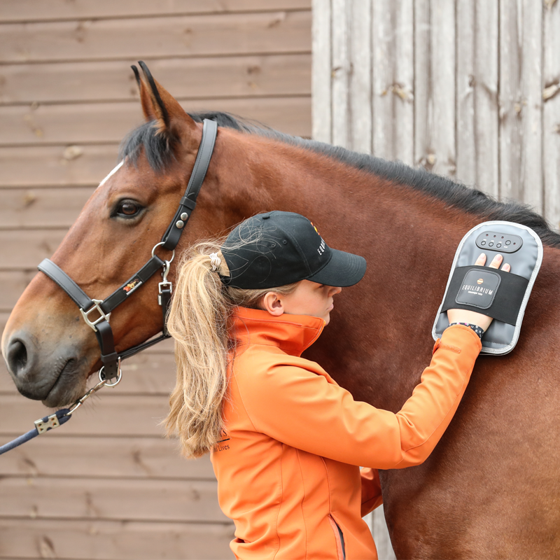 Equilibrium Massage Mitt-1