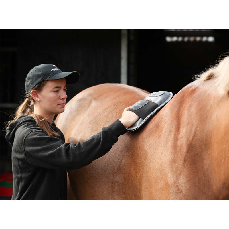 Equilibrium Massage Mitt-4