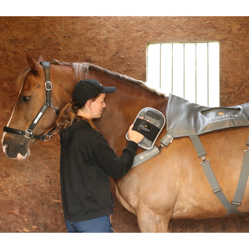 Equilibrium Massage Mitt-3