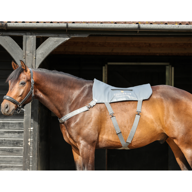 Equilibrium Massage Pad - Standard-1