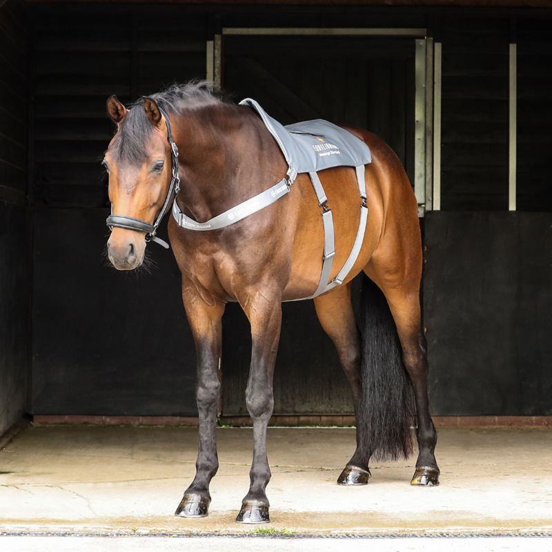 Equilibrium Massage Pad - Standard-5