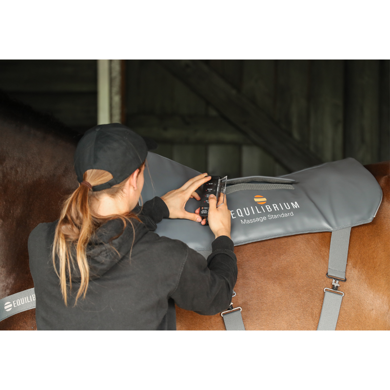 Equilibrium Massage Pad - Standard-2