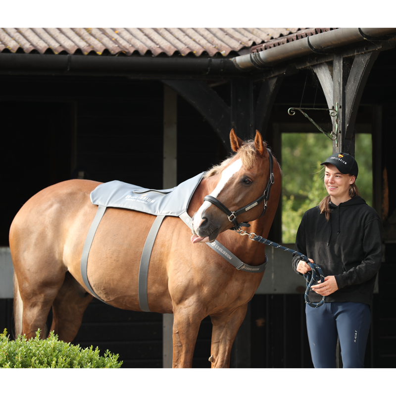 Equilibrium Massage Pad - Standard-4