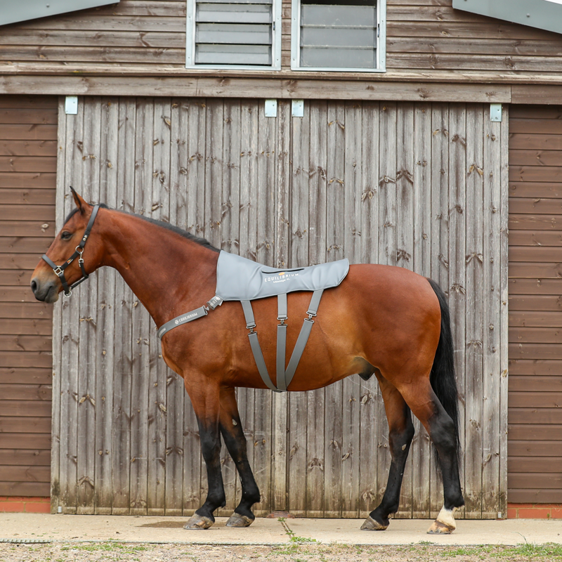 Equilibrium Massage Pad - XL-3