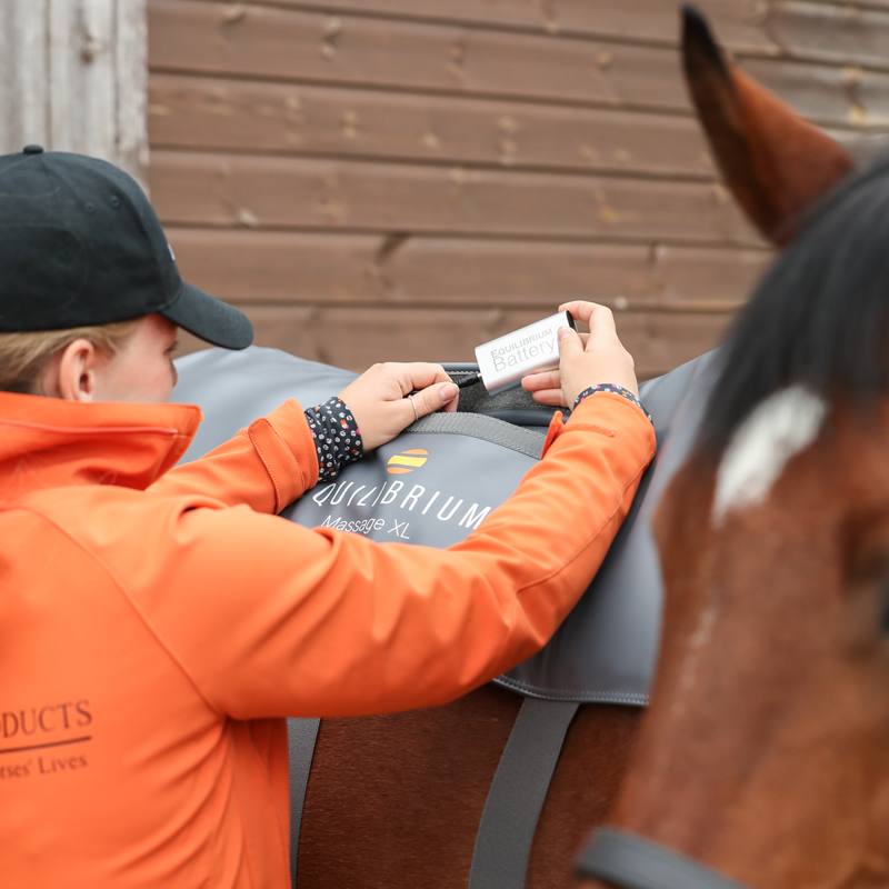 Equilibrium Massage Pad - XL-4