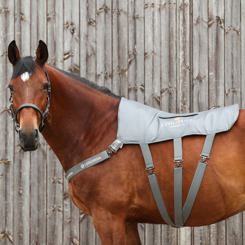 Equilibrium Massage Pad - XL-2