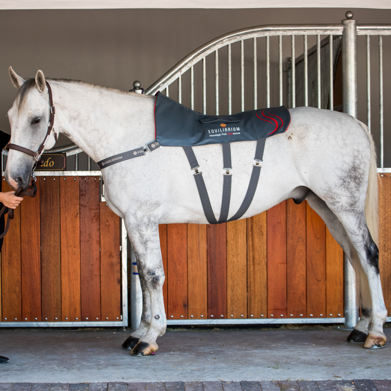 Equilibrium Massage Pad Heatsense - Standard/XL-7