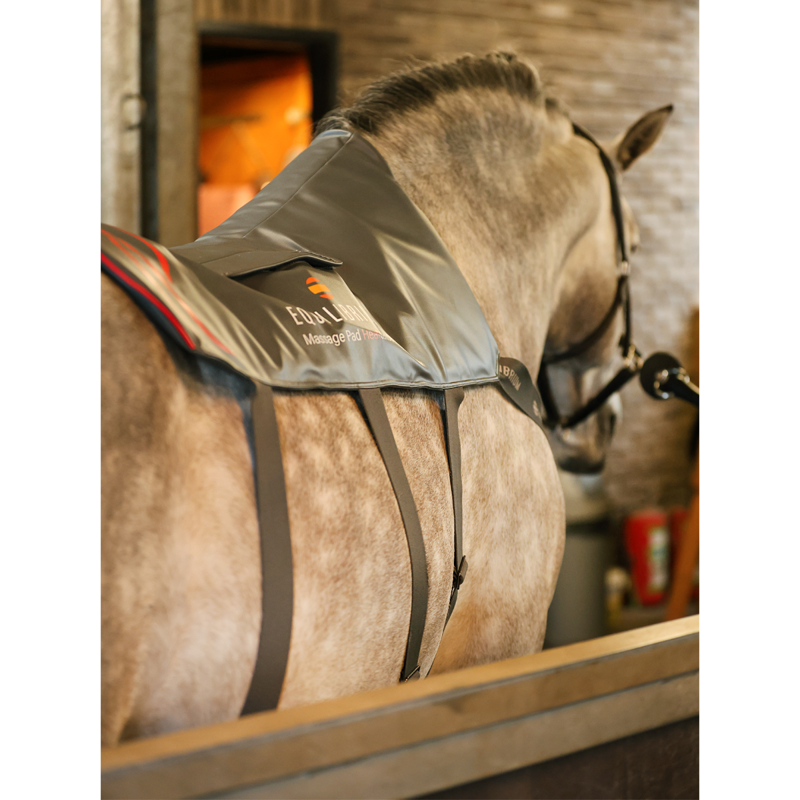 Equilibrium Massage Pad Heatsense - Standard/XL-6