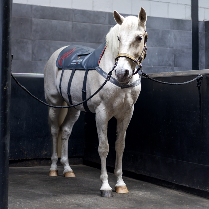 Equilibrium Massage Pad Heatsense - Standard/XL-5