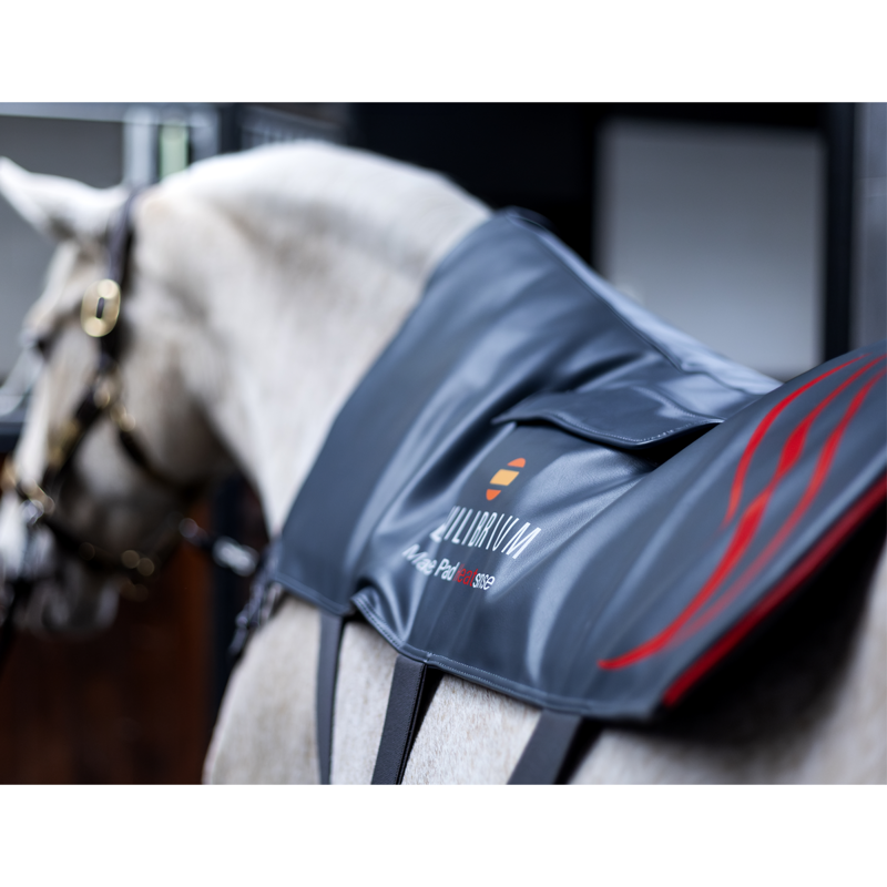 Equilibrium Massage Pad Heatsense - Standard/XL-4