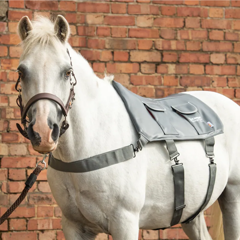 Equilibrium Massage Pad - Pony -1