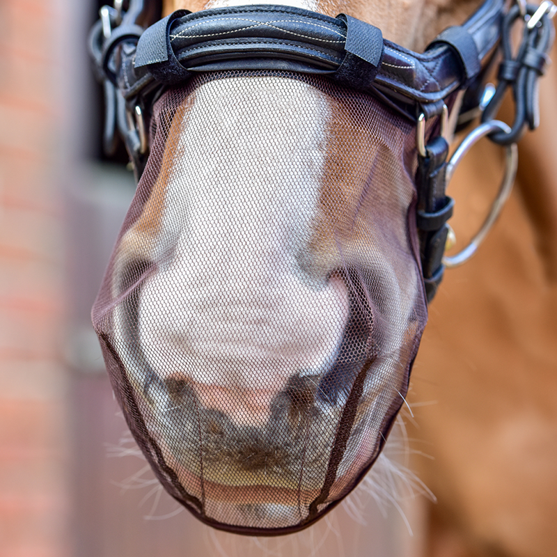 Equilibrium Net Relief Muzzle Net for Anatomical Bridles - Black -1