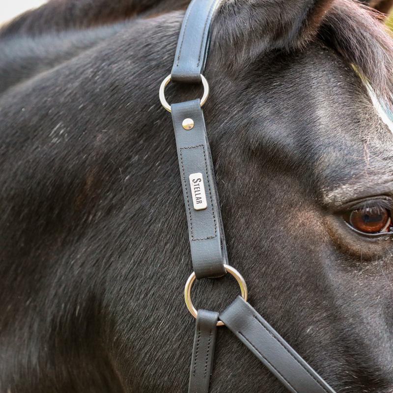 Equilibrium New Stellar Headcollar - Black-4