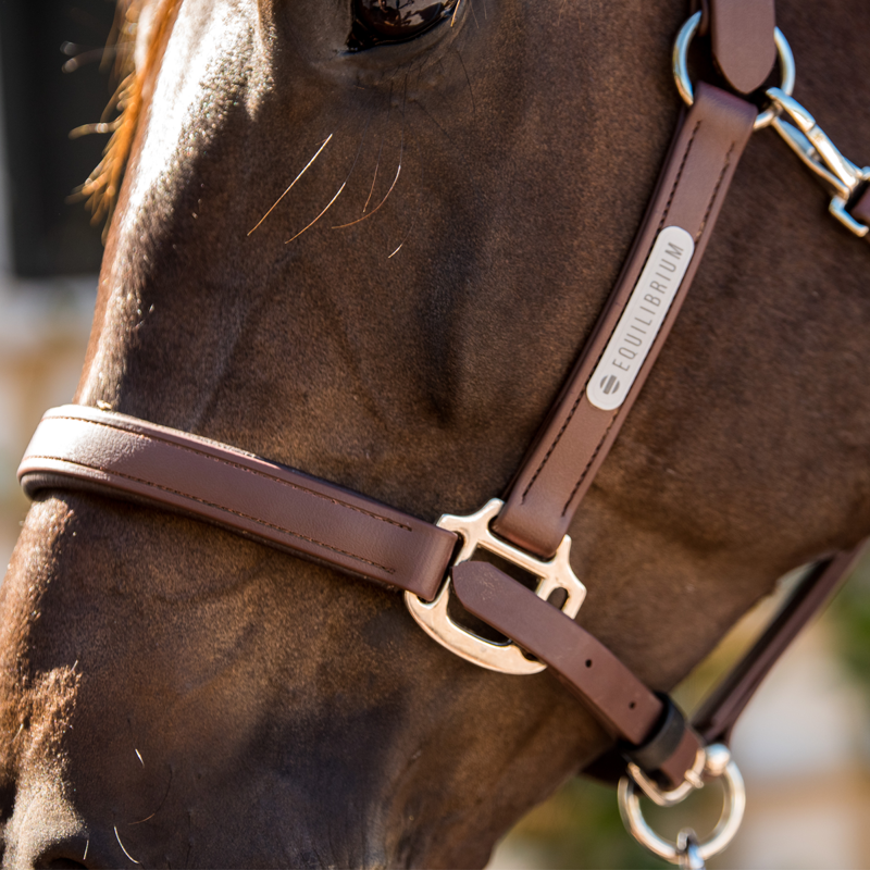 Equilibrium New Stellar Headcollar - Brown-4