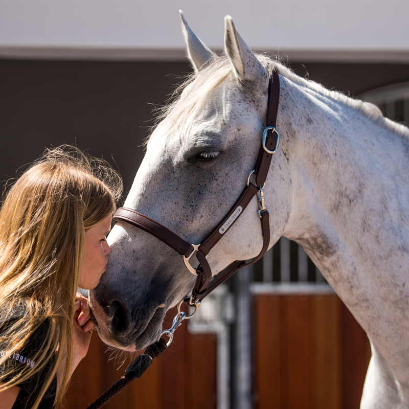 Equilibrium New Stellar Headcollar - Brown-2
