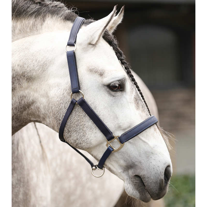 Equilibrium New Stellar Headcollar - Navy-2