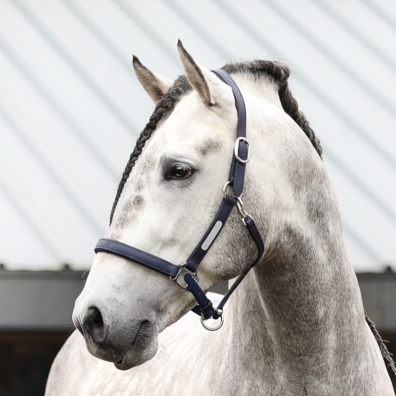 Equilibrium New Stellar Headcollar - Navy-1