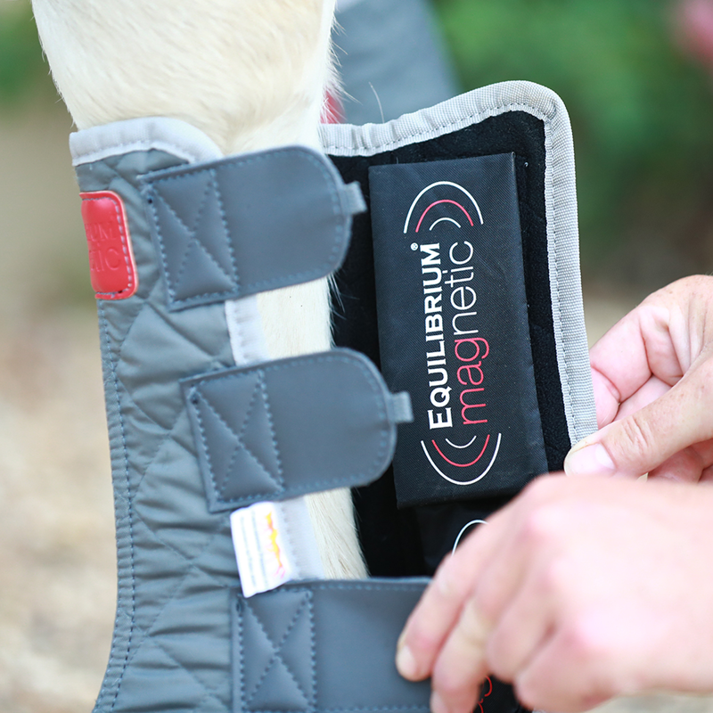 Equilibrium Spare Magnets-1